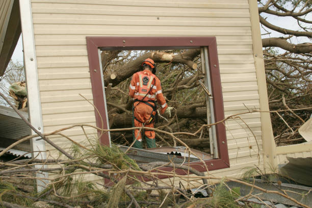 How Our Tree Care Process Works  in  Elizabeth, NJ